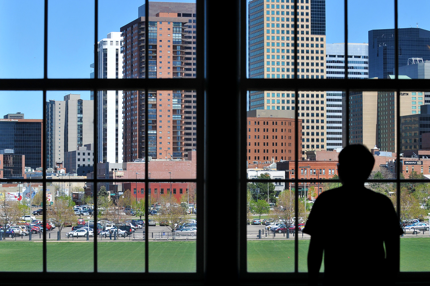 A photo of a silhouette of a student looking out window and pondering