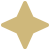 Icon Gold Star