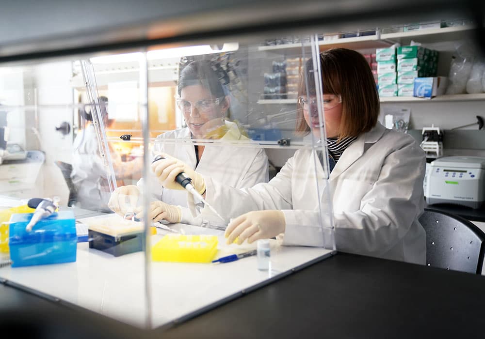 Students working in a lab