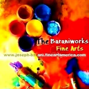 The-Baraniworks-Square300-SQSH