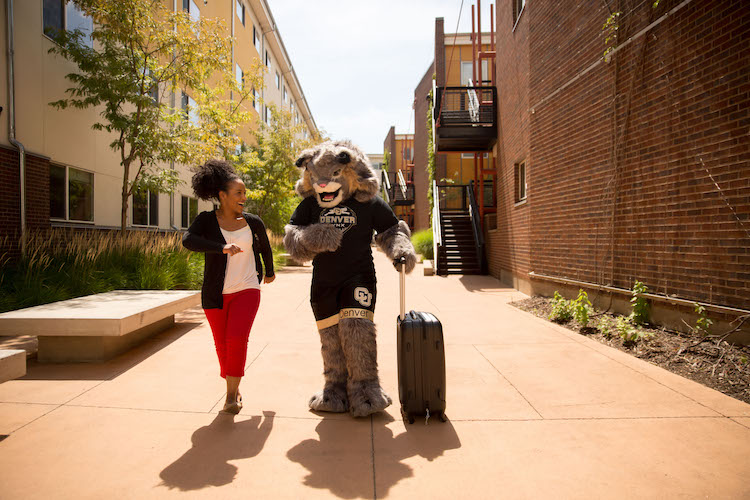 CU Denver student walking with Milo the Lynx