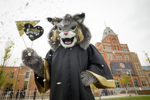 Milo in regalia at commencement